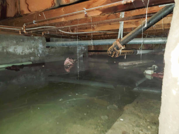 Trusted Saginaw, TX Water damage restoration Experts