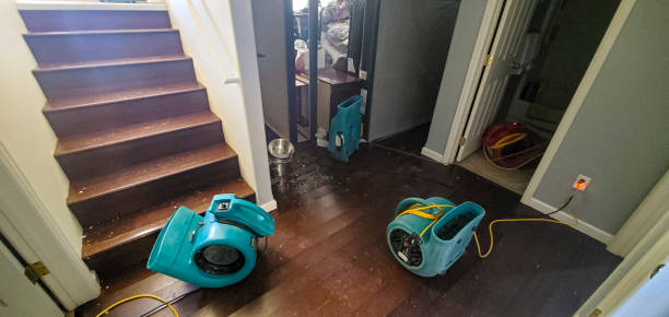 Best Sewage cleanup and water damage restoration  in Saginaw, TX