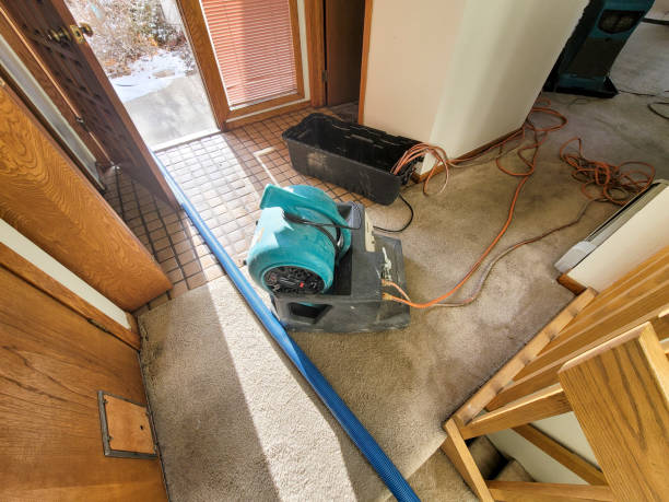 Best Flooded house restoration  in Saginaw, TX