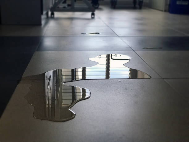 Best Carpet water damage restoration  in Saginaw, TX
