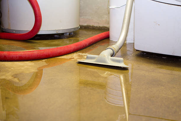 Best Water damage cleanup near me  in Saginaw, TX