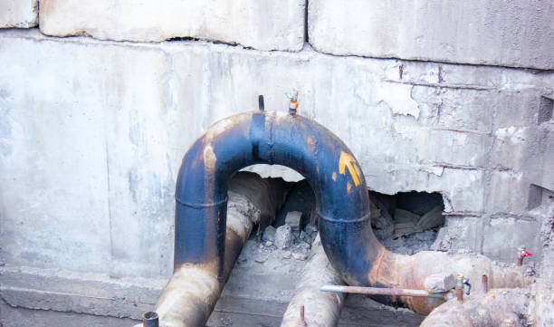 Best Mold removal after water damage  in Saginaw, TX