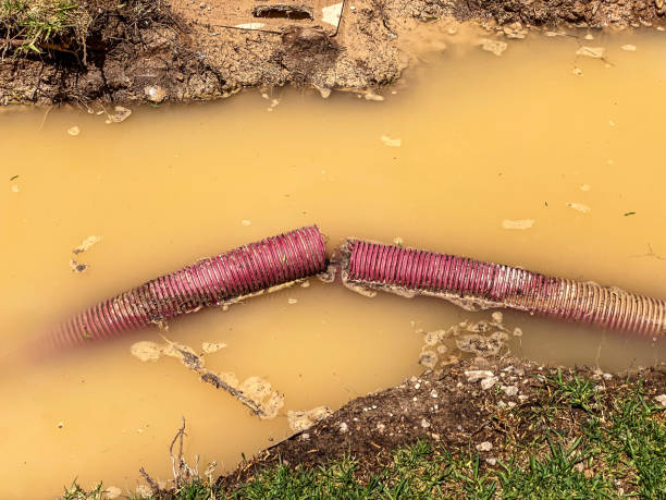 Best Water damage restoration process  in Saginaw, TX