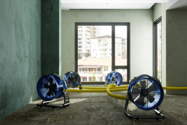 Best Flood restoration services  in Saginaw, TX